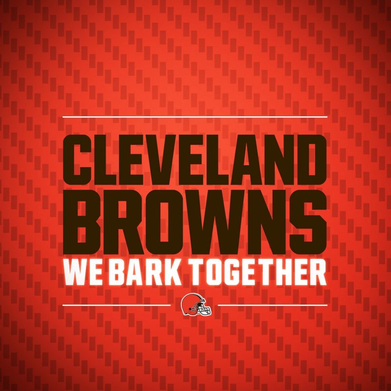 10 Most Popular Cleveland Browns Hd Wallpaper FULL HD 1920×1080 For PC Background 2022 free download browns wallpapers cleveland browns 4 800x800