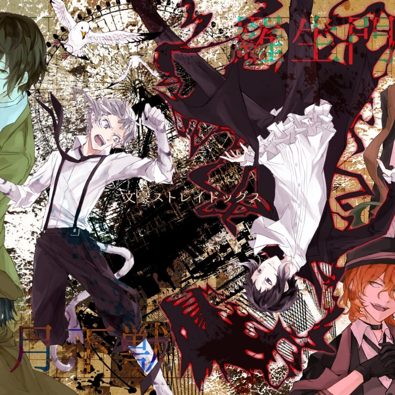 10 Latest Bungo Stray Dogs Wallpaper FULL HD 1920×1080 For PC Background 2022 free download bungo stray dogs dazai wallpaper wallpaper de bungou stray dogs 800x800
