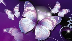 butterfly wallpapers free download group (66)