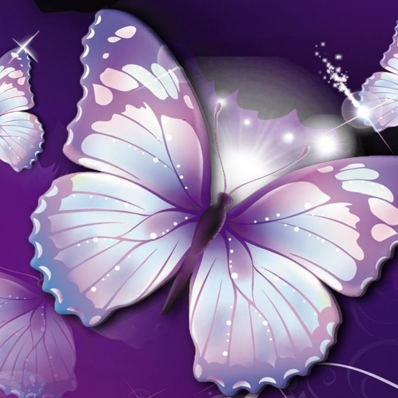 10 Most Popular Wallpapers Butterfly Free Download FULL HD 1080p For PC Background 2022 free download butterfly wallpapers free download group 66 800x800