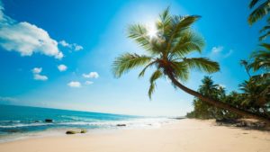 caribbean beach wallpaper | (43744)