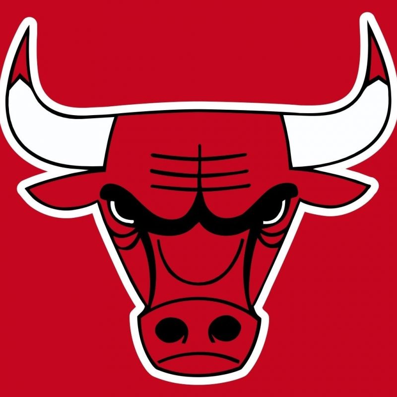 10 Most Popular Cool Chicago Bulls Logos FULL HD 1080p For PC Background 2023 free download chicago bulls logo all logos world pinterest 800x800