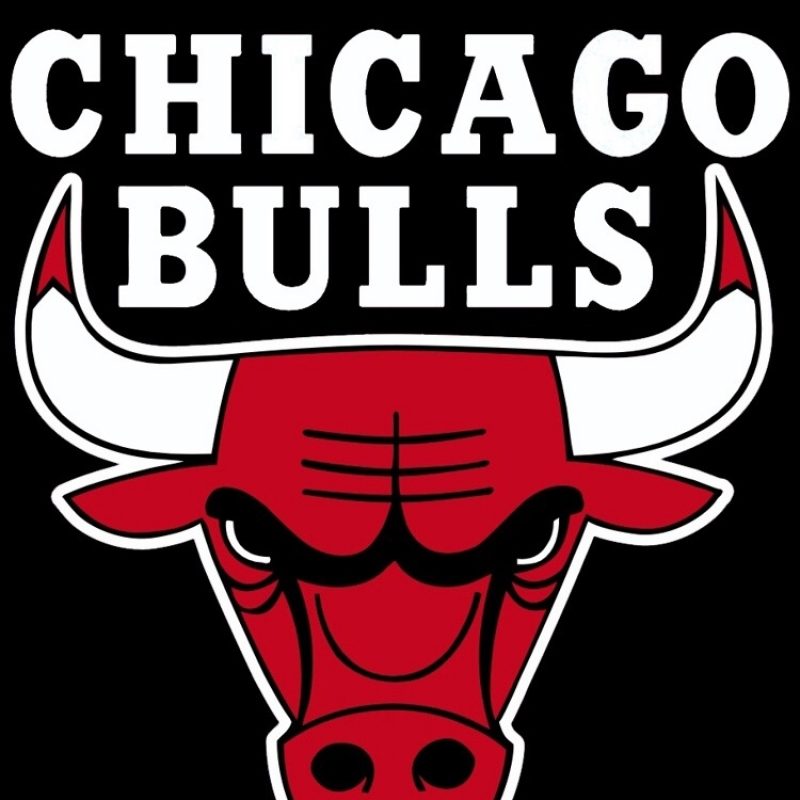 10 Most Popular Cool Chicago Bulls Logos FULL HD 1080p For PC Background 2022 free download chicago bulls logo drawings of animals pinterest idole 800x800