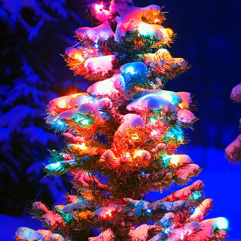 10 Best Christmas Tree Phone Wallpaper FULL HD 1080p For PC Background 2024 free download christmas tree lights snow mobile wallpaper phone background 800x800