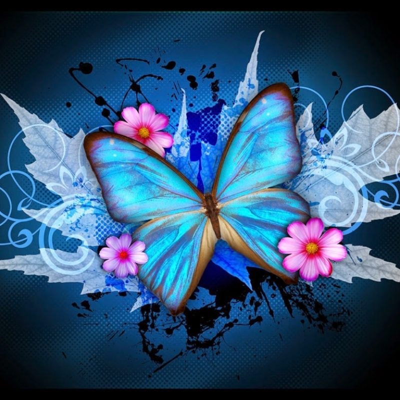10 Most Popular Wallpapers Butterfly Free Download FULL HD 1080p For PC Background 2022 free download colorful butterfly designs background for desktop abstract hd wallpapers 800x800