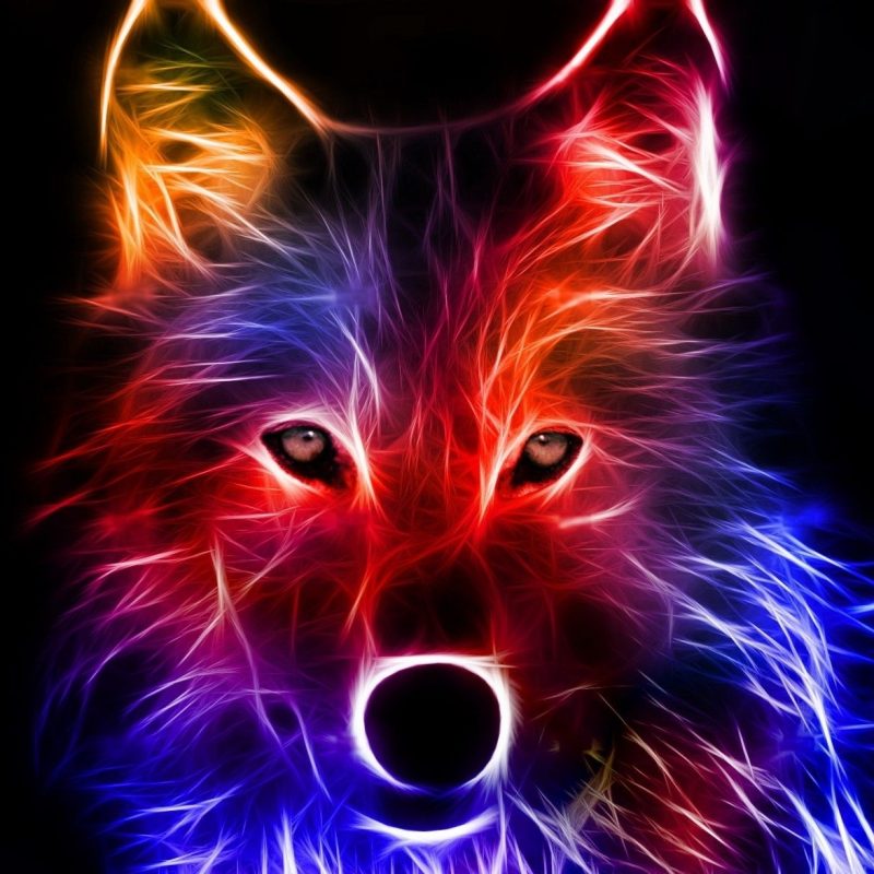 10 New Cool Wallpapers Of Wolves FULL HD 1920×1080 For PC Desktop 2022 free download cool backgrounds best wallpaper background pinteres 1 800x800