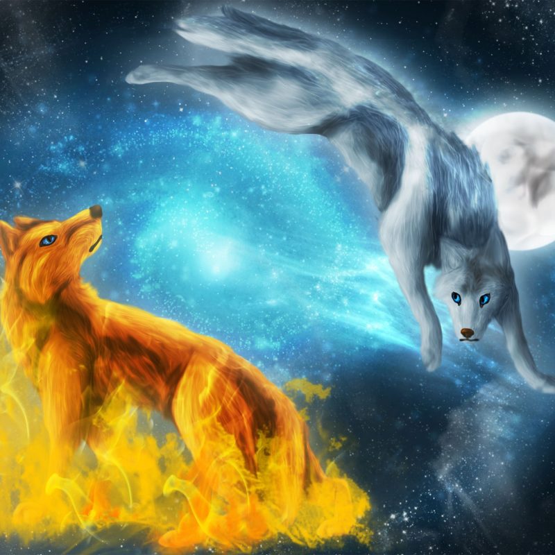 10 Top Pics Of Cool Wolves FULL HD 1920×1080 For PC Desktop 2022 free download cool pictures of wolves wallpapers 59 images 800x800