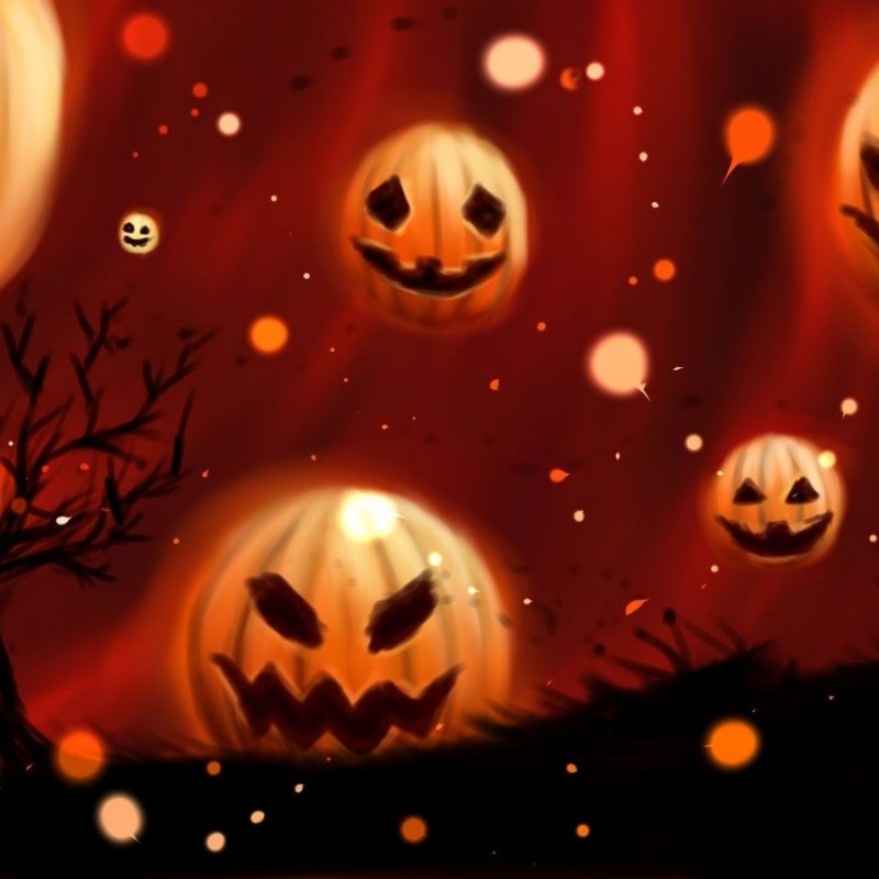 10 Top Cute Pumpkin Halloween Wallpaper FULL HD 1920×1080 For PC Desktop 2023 free download cool pumpkin halloween backgrounds free internet pictures 800x800