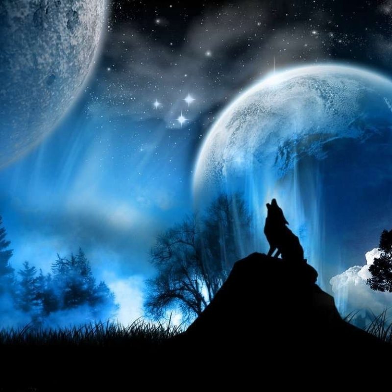 10 Top Pics Of Cool Wolves FULL HD 1920×1080 For PC Desktop 2022 free download cool wolf backgrounds group 75 800x800