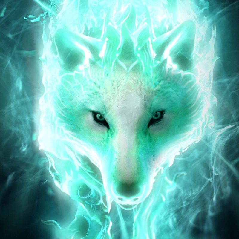 10 Top Cool Pictures Of Wolfs FULL HD 1080p For PC Background 2023 free download cool wolf wallpapers 59 images 800x800