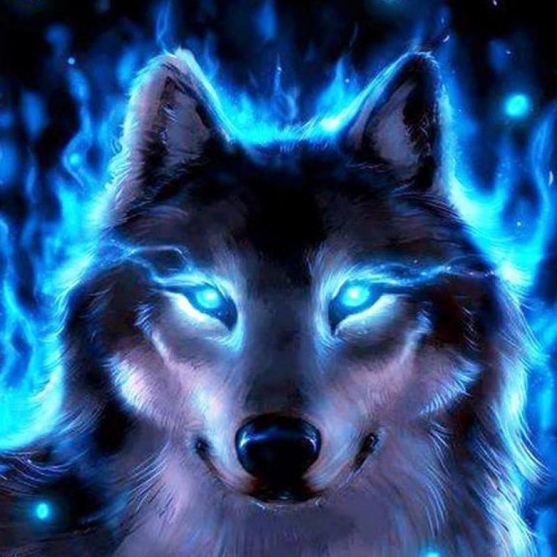 10 New Cool Wallpapers Of Wolves FULL HD 1920×1080 For PC Desktop 2022 free download cool wolves backgrounds wallpaper free hd wallpapers book art 1 800x800