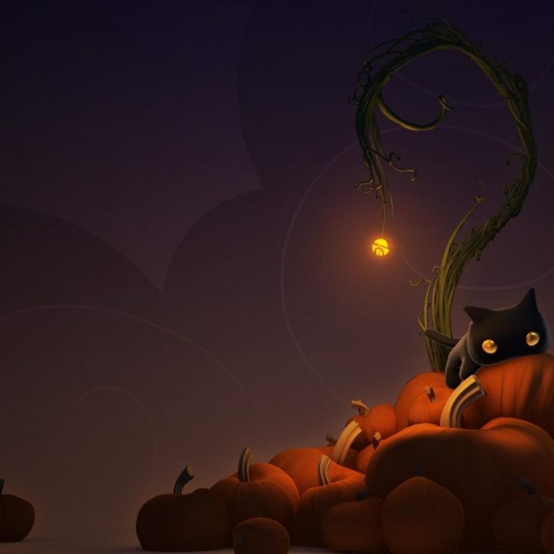 10 Top Cute Cat Halloween Wallpaper FULL HD 1920×1080 For PC Background 2022 free download cute cat halloween wallpaper 65 images 800x800
