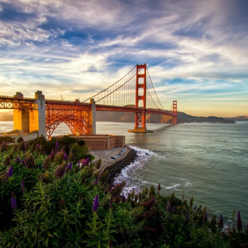 10 Best San Francisco Wallpapers Hd FULL HD 1920×1080 For PC Desktop 2022 free download daily wallpaper summer in san francisco i like to waste my time 2 800x800