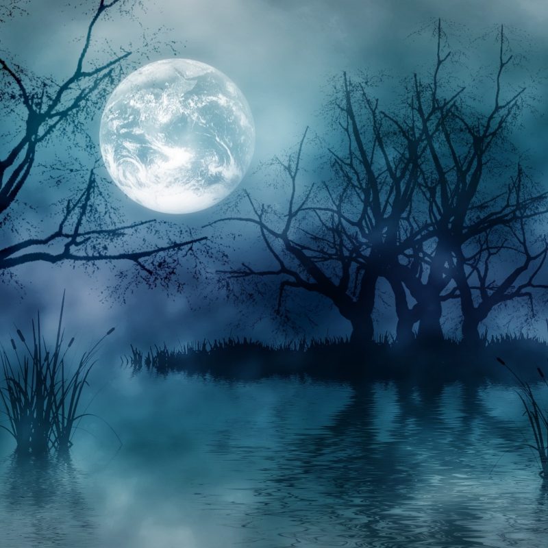 10 Best Dark Forest Background With Moon FULL HD 1080p For PC Background 2022 free download dark forest moon wallpaper high quality resolution outdoors 800x800