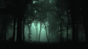 dark forest wallpapers - wallpaper cave