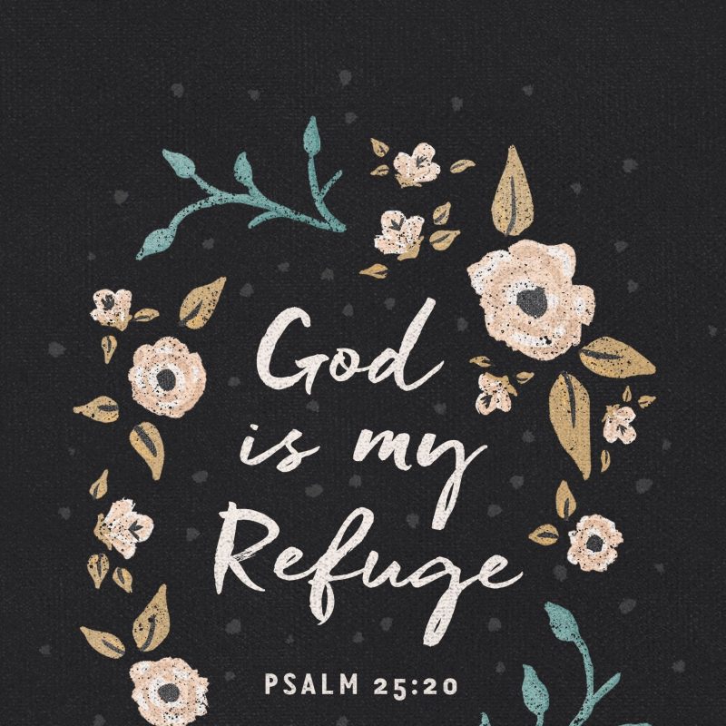 10 Latest Bible Verse Wallpaper For Mobiles FULL HD 1920×1080 For PC Background 2022 free download day03 1704x3216 pixels salmos pinterest bible verses 800x800