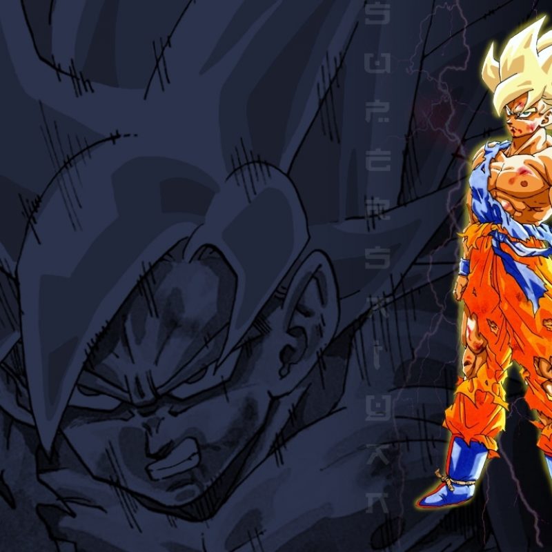 10 Top Dragonball Z Goku Wallpaper FULL HD 1920×1080 For PC Desktop 2022 free download dbz rampage images goku hd wallpaper and background photos 23438587 800x800