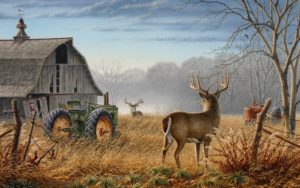 deer hunting backgrounds - wallpaper cave