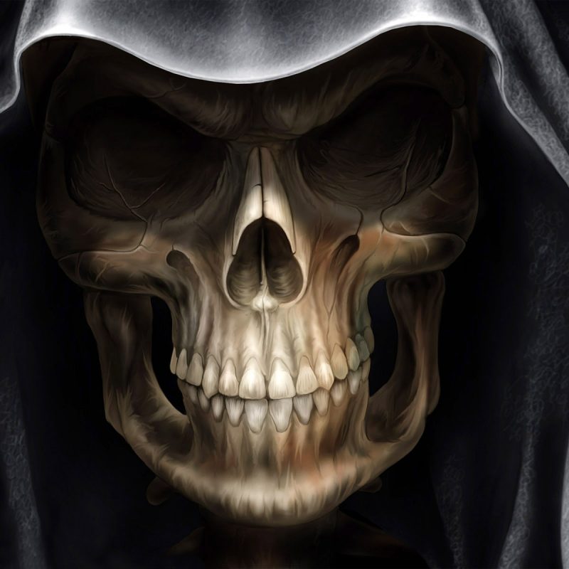 10 Latest Free Skull Wallpaper Downloads FULL HD 1920×1080 For PC Background 2023 free download demon alien devil skull wallpapers hd wallpapers id 10069 800x800