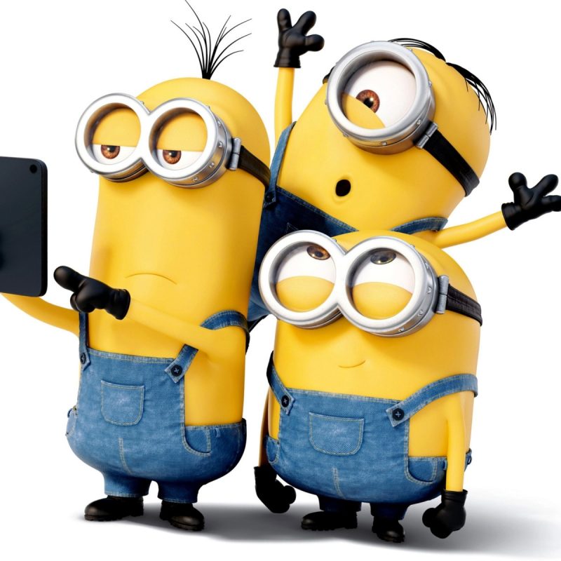 10 Best Minions Wallpaper For Desktop FULL HD 1080p For PC Desktop 2024 free download desktop minion for widescreen pc x full hd on pics images of iphone 800x800