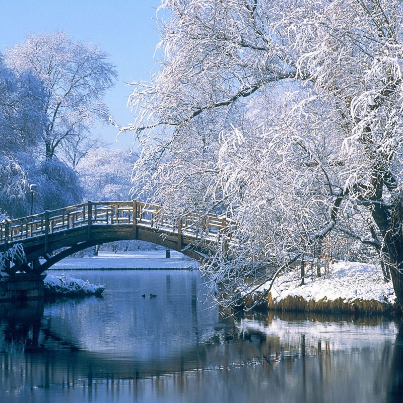 10 Most Popular Winter Landscape Desktop Wallpaper FULL HD 1080p For PC Background 2022 free download desktop wallpaper winter landscapes 46 images 1 800x800