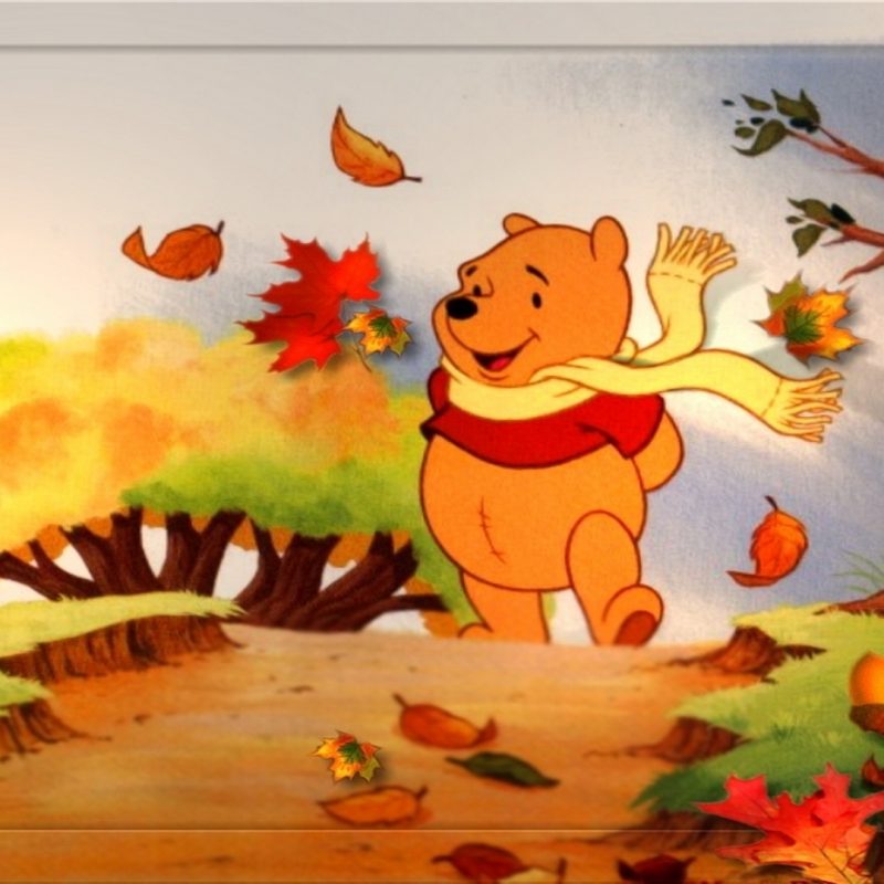 10 New Disney Thanksgiving Desktop Wallpaper FULL HD 1920×1080 For PC Background 2022 free download disney thanksgiving wallpaper c2b7e291a0 800x800