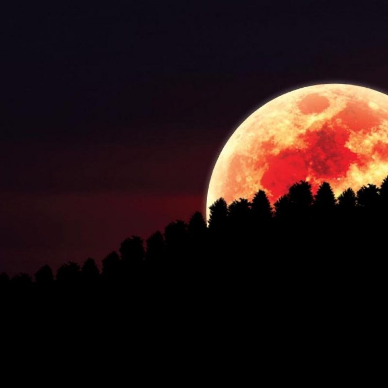 10 Best Red Moon Wallpaper Hd FULL HD 1080p For PC Background 2022 free download download red moon over forest wallpapers media file pixelstalk 800x800