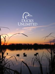 ducks unlimited mobile wallpaper