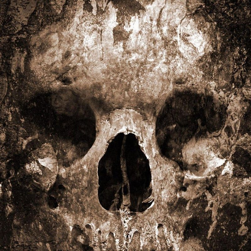 10 Most Popular Skull Wallpapers For Android FULL HD 1080p For PC Background 2022 free download e28691e28691tap and get the free app hard skull black scary dark gothic 800x800
