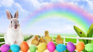 easter bunny wallpapers free - wallpaper cave