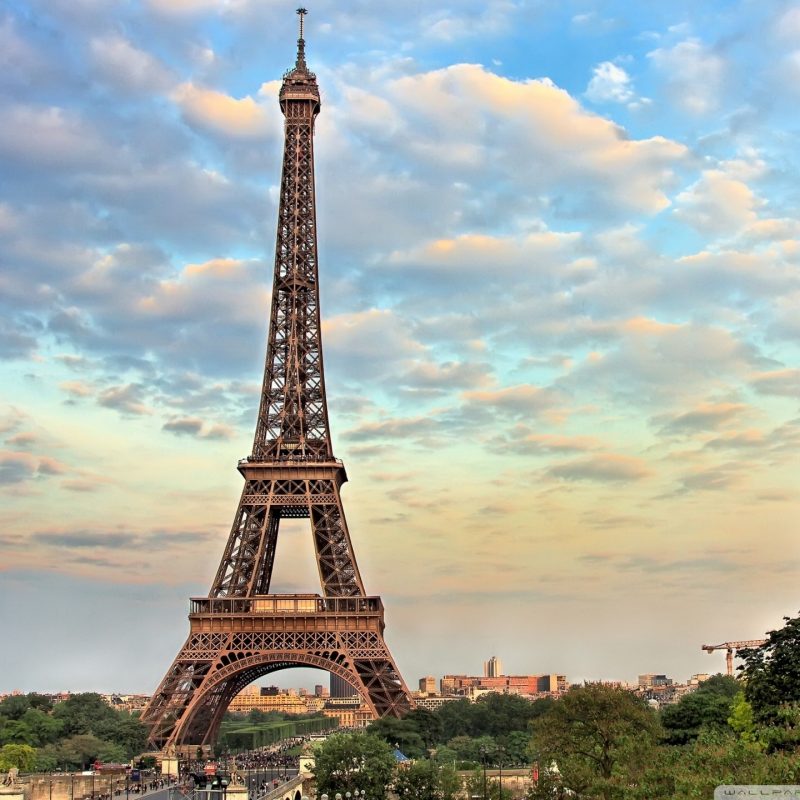 10 Top Wallpapers Of Paris France FULL HD 1080p For PC Background 2022 free download eiffel tower paris france e29da4 4k hd desktop wallpaper for 4k ultra 800x800