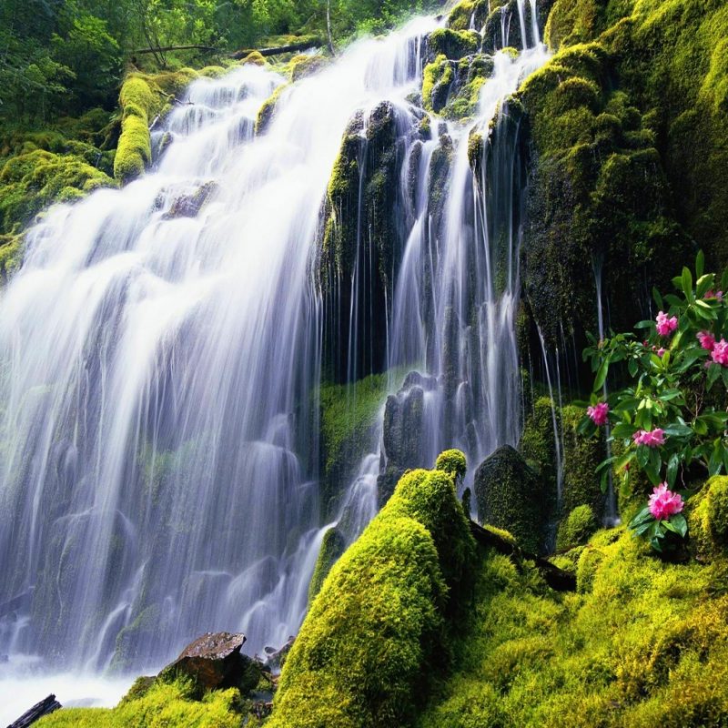 10 Best Waterfalls Wallpaper Free Download FULL HD 1920×1080 For PC Desktop 2022 free download exotic destinations around the world picture 20132306 funny 800x800