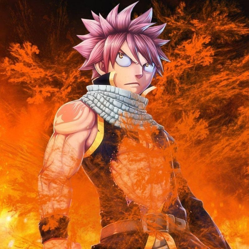 10 Best Fairy Tail Wallpaper Natsu Dragon Force FULL HD 1920×1080 For PC Background 2022 free download fairy tail natsu wallpapers wallpaper cave 2 800x800