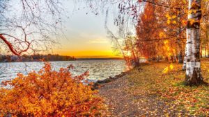 fall desktop photos hd wallpapers. - media file | pixelstalk