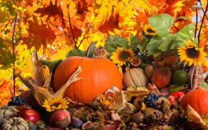 fall harvest background | natures wallpapers | pinterest | autumn