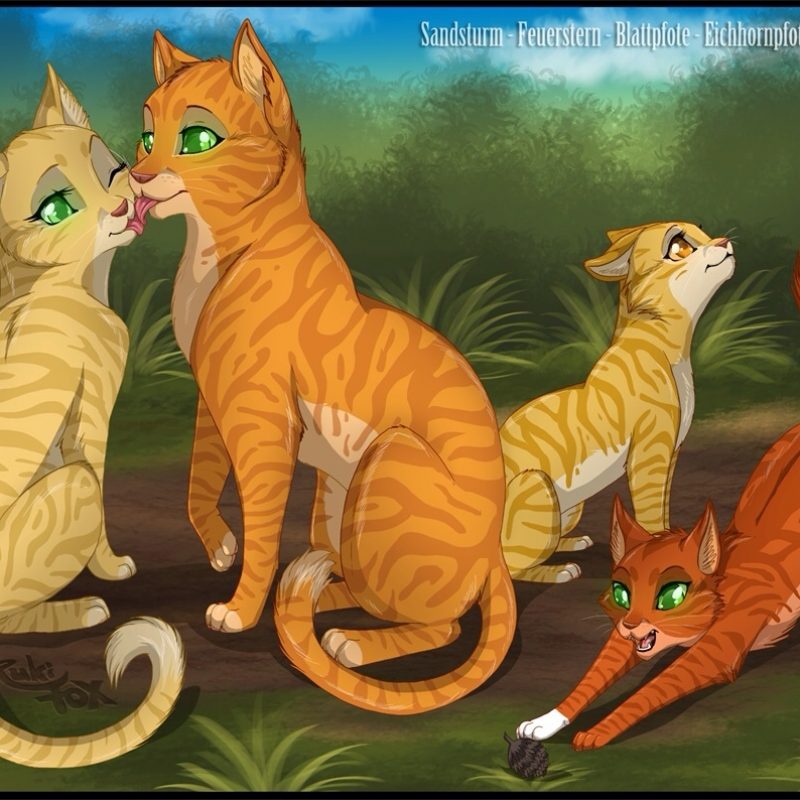 10 Most Popular Warrior Cats Wallpaper Firestar FULL HD 1080p For PC Background 2022 free download firestars family warrior cats pinterest warrior cats cat and 800x800