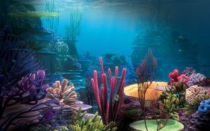 fish tank backgrounds hd wallpaper. - media file | pixelstalk