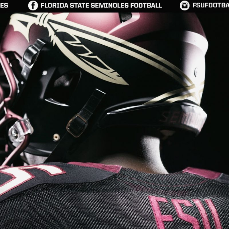 10 Top Florida State Seminoles Wallpaper FULL HD 1080p For PC Background 2022 free download florida state seminoles football wallpaper free download images 1 800x800