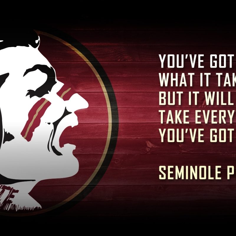 10 Top Florida State Seminoles Wallpaper FULL HD 1080p For PC Background 2022 free download florida state seminoles wallpaper file name fsu wallpaper posted 800x800