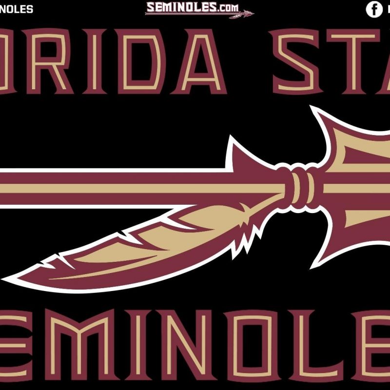 10 Top Florida State Seminoles Wallpaper FULL HD 1080p For PC Background 2022 free download florida state university wallpapers wallpaper cave 1 800x800