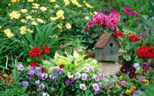 flower garden wallpapers | best wallpapers