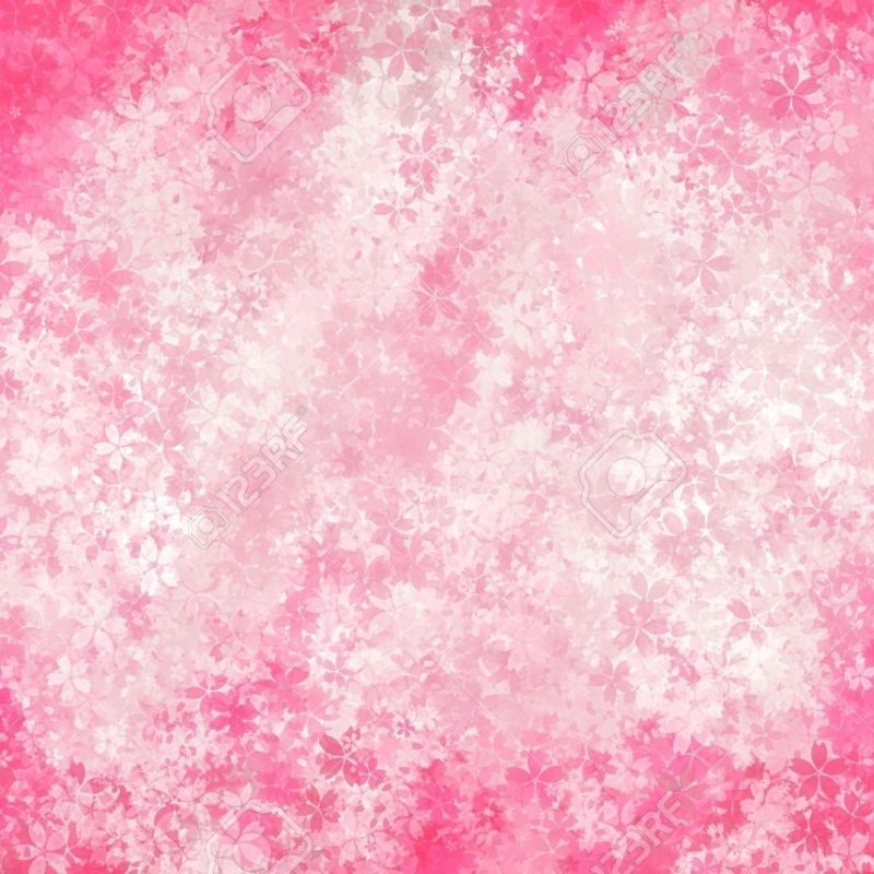 10 Top Soft Pink Background Images FULL HD 1080p For PC Desktop 2022 free download flowers abstract background with pink and soft pink color stock 800x800
