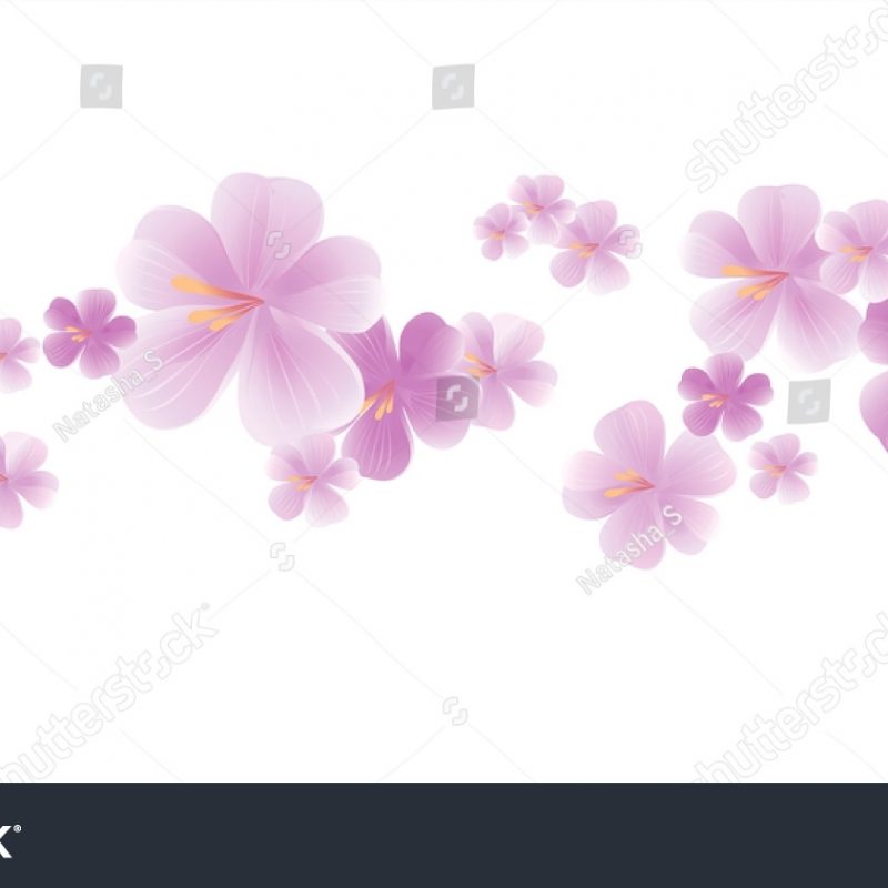 10 Most Popular Light Purple Flower Background FULL HD 1920×1080 For PC Desktop 2023 free download flowers design flowers background flying light stock vector 800x800