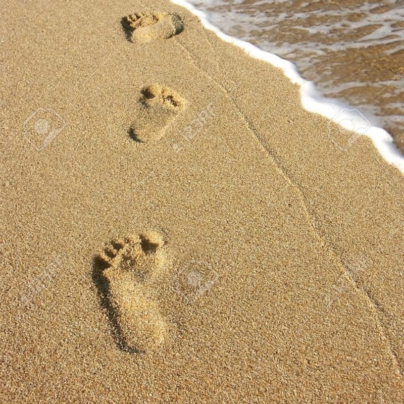 10 Best Footprints In The Sand Images Free FULL HD 1080p For PC Background 2024 free download footprints along the seashore stock photo picture and royalty free 800x800