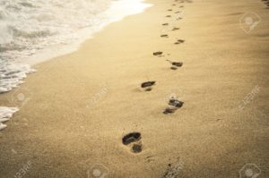 footprints in the sand at sunset stock photo, picture and royalty