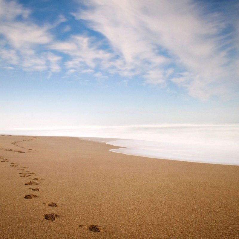 10 Top Footprints In The Sand Pictures FULL HD 1920×1080 For PC Desktop ...