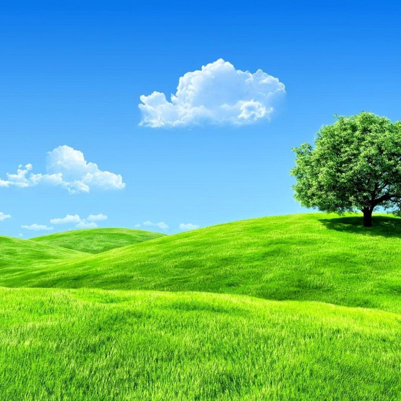 10 New Wallpapers For Laptop Full Screen FULL HD 1080p For PC Background 2022 free download forces of nature landscape sky splendor tree enchanting nature 800x800