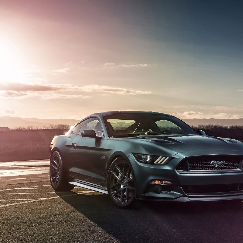 10 Most Popular Ford Mustang Gt Wallpaper FULL HD 1920×1080 For PC Background 2022 free download ford mustang gt velgen wheels wallpapers in jpg format for free download 800x800
