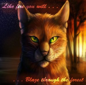 forever warriors cats images firestar! hd wallpaper and background