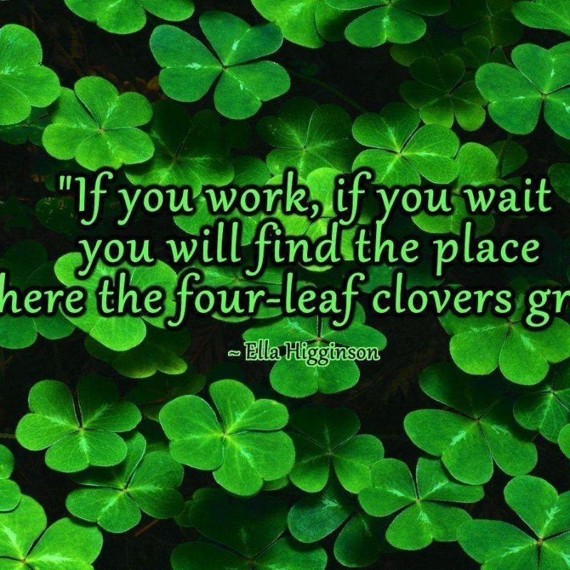 10 Most Popular 4 Leaf Clover Wallpaper FULL HD 1080p For PC Background 2024 free download four leaf clover wallpapers wallpaper cave 1 800x800